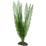Hobby Aponogeton 39 cm umělá – Hledejceny.cz