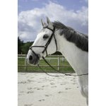 RIDING WORLD Uzdečka Muserolle Croisée s mexickým nánosníkem Černá – Zboží Dáma