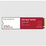 WD Red SN700 250GB, WDS250G1R0C – Zboží Živě