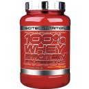 Scitec 100% Whey Protein Professional 1000 g