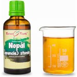 Bylinné kapky Nopál opuncie stonky Pavlovy bylinné kapky tinktura 50 ml – Hledejceny.cz