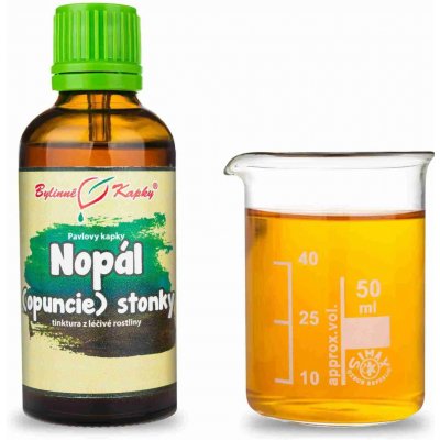 Bylinné kapky Nopál opuncie stonky Pavlovy bylinné kapky tinktura 50 ml – Hledejceny.cz