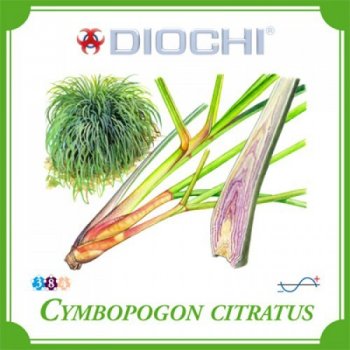 Diochi Cymbopogon citratus čaj 75 g