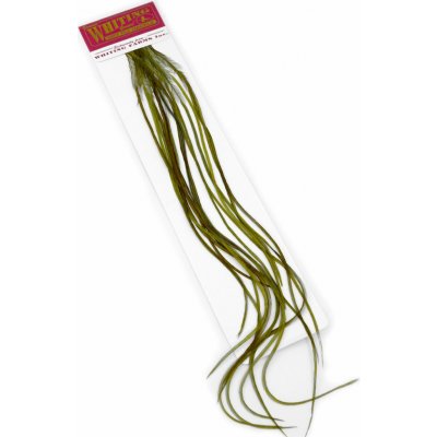 Whiting Hackles Whiting Kohoutí Peří 100 Pk White Dyed Dark Olive #12 – Hledejceny.cz