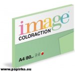 Papír barevný A4 80 g Coloraction MG28 Forest pastelově zelená 100 ks – Hledejceny.cz