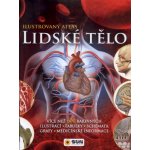Lidské tělo - Ilustrovaný atlas – Hledejceny.cz