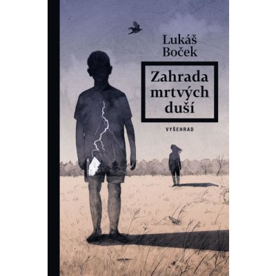 Zahrada mrtvých duší - Lukáš Boček, Eva Bartošová ilustrátor – Hledejceny.cz