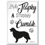 Nekupto Magnet se psem Retrívr – Sleviste.cz