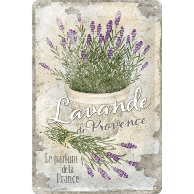 Postershop Plechová cedule - Levandule 30x20 cm – Hledejceny.cz