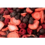 Lyofio Lesní směs 90 g – Hledejceny.cz