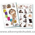 Bonaparte Pexeso: Kočky – Zbozi.Blesk.cz