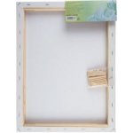 Nevskaya Palitra malířské plátno 40x50 cm – Zboží Dáma