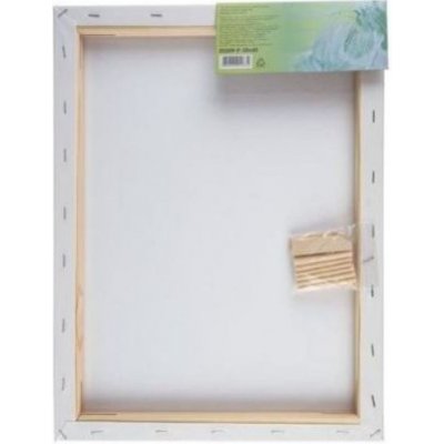 Nevskaya Palitra malířské plátno 40x50 cm – Zboží Dáma