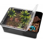 Terrario Reptiland Black 25x19x7,5 cm – Zboží Dáma
