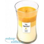 WoodWick Trilogy Fruits of Summer 609,5 g – Zboží Dáma