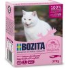 Ostatní krmivo pro kočky Bozita Cat kousky jelly s račím masem 370 g