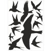 Piktogram Silueta dravce - samolepící fólie - arch 30 x 40 cm, 11 dravců Dravci - černá samolepící fólie - 11 dravců na archu 30 x 40 cm, Kód: 25127