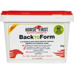 Horse First Rychlá regenerace pro koně Back to Form 2 kg – Hledejceny.cz