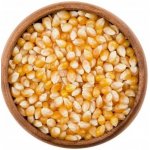 Bakamo zrno na pražení 2500 g – Zboží Dáma Bakamo zrno na pražení 2500 g – Zboží Dáma