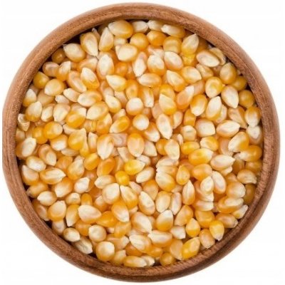 Bakamo zrno na pražení 2500 g – Zboží Dáma Bakamo zrno na pražení 2500 g – Zboží Dáma