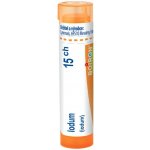 IODUM POR 15CH GRA 1X4G – Hledejceny.cz