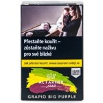 Al Fakher grapio Big Purple 50 g – Hledejceny.cz