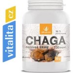 Allnature Chaga 100 kapslí – Hledejceny.cz