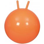 Skákací gymnastický míč 55 cm – Zboží Dáma