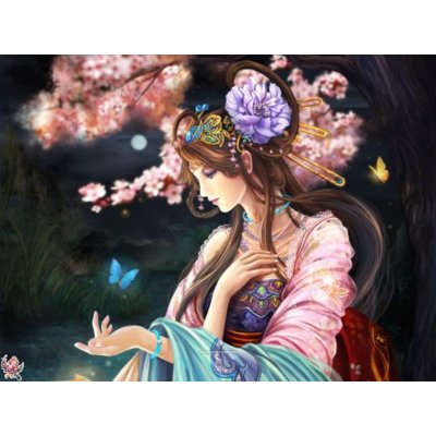 Norimpex Diamantové malování Motýlí královna 30 x 40 cm – Hledejceny.cz