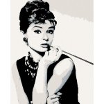 Zuty Malování podle čísel AUDREY HEPBURN ČERNOBÍLÁ NO – Hledejceny.cz