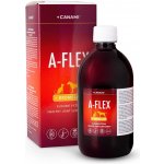 Canami A-Flex +bromelain 500 ml – Hledejceny.cz