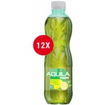 Aquila Tea Zelený čaj se šťávou z citronu 12 x 0,5 l – Zbozi.Blesk.cz