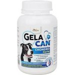 Gelacan Chondro Forte 0,15 kg – Hledejceny.cz