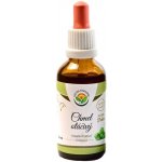 Salvia Paradise Chmel otáčivý AF tinktura 30 ml – Hledejceny.cz