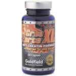 Goldfield Crea-Force XL 60 tablet – Zboží Dáma