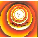Wonder Stevie - Songs in the Key of Life CD – Hledejceny.cz