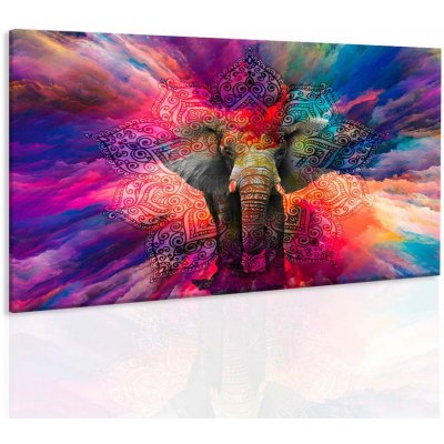 Malvis Malvis Obraz slon štěstí : 90x60 cm Do 14 dní