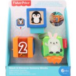 Fisher-Price kostky pro rozvoj smyslů – Zboží Mobilmania