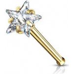 Šperky4U zlacený piercing do nosu hvězdička N0134GDC – Hledejceny.cz
