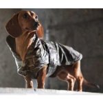 Croci Obleček Military jezevčík – Zbozi.Blesk.cz