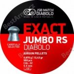Diabolky JSB Exact Jumbo RS 5,52 mm 500 ks – Zboží Dáma