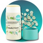 Kvitok deostick Chladivý vánek 42 ml – Zboží Dáma Kvitok deostick Chladivý vánek 42 ml – Zboží Dáma