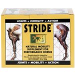 TRM Stride 30 x 50 g – Sleviste.cz