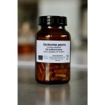 Tyroler Glückspilze Outkovka pestrá Turkey Tail Prášek Bio Coriolus Versicolor Organic Powder kapsle 120 ks – Hledejceny.cz