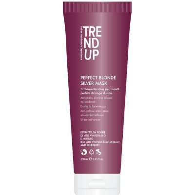 Trend up Silver Maska 250 ml – Sleviste.cz