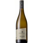 Weingut Am Stein Würzburg Bio Sylvánské zelené bílé 2023 11,5% 1,5 l (holá láhev) – Hledejceny.cz
