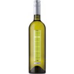 San Martino Pinot Grigio Linea Prime Suché bílé 2022 12% 0,75 l (holá láhev) – Hledejceny.cz
