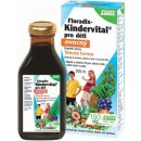 Doplněk stravy Salus Floradix Kindervital pro děti ovocný 250 ml