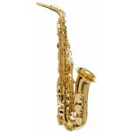 Selmer Axos – Zbozi.Blesk.cz