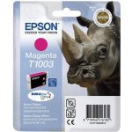 Epson C13T100340 - originální – Hledejceny.cz